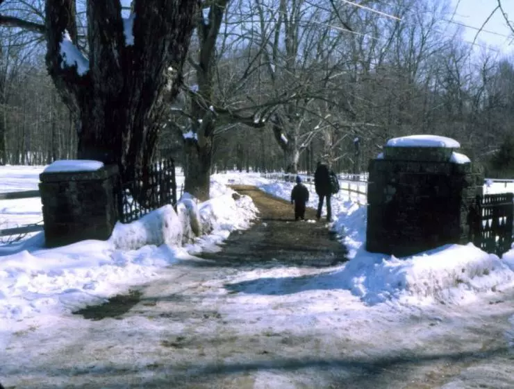 Вендиго 2001 скачать торрентом Вендиго 2001 скачать торрентом