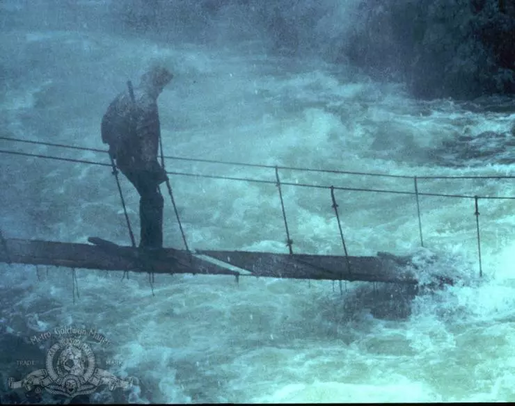 Золотой тюлень 1983 скачать торрентом Золотой тюлень 1983 скачать торрентом