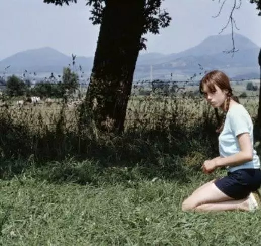 Маленький угольщик 1969 скачать через торрент бесплатно Маленький угольщик 1969 скачать через торрент бесплатно