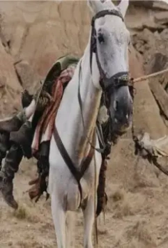 Затерянные в Ла-Манче 2002 скачать торрентом Затерянные в Ла-Манче 2002 скачать торрентом