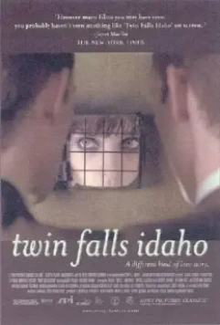 Близнецы из Айдахо / Twin Falls Idaho 1999 скачать через торрент в хорошем качестве