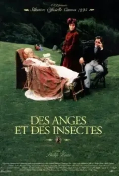 Ангелы и насекомые / Angels and Insects 1995 скачать через торрент в хорошем качестве
