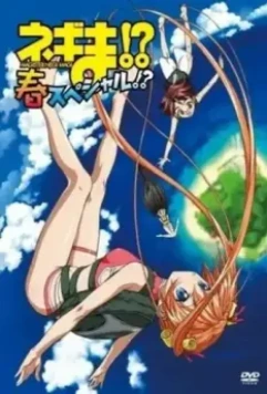 Нэгима?! Весенний спецвыпуск?! / Negima!? Haru Special!? 2006 скачать через торрент в хорошем качестве