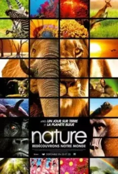 Заколдованное королевство 3D / Enchanted Kingdom 3D 2014 скачать через торрент в хорошем качестве