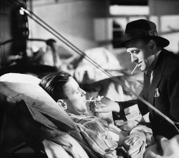 Зеленый значит опасность 1946 скачать торрентом Зеленый значит опасность 1946 скачать торрентом