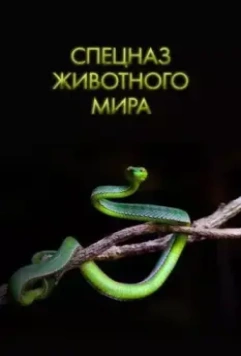 Спецназ животного мира / Animal Special Forces 2018 скачать через торрент в хорошем качестве