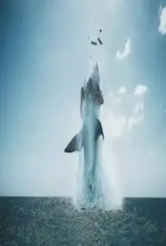 Мегалодон 2023 скачать с торрента Мегалодон 2023 скачать с торрента