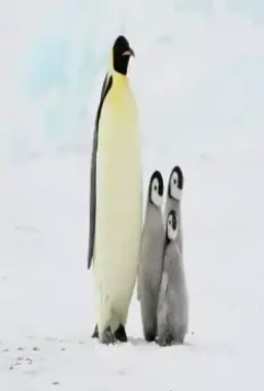 Спасти планету 2020 скачать торрентом Спасти планету 2020 скачать торрентом