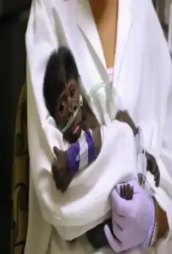 Спасти планету 2020 скачать с торрента Спасти планету 2020 скачать с торрента