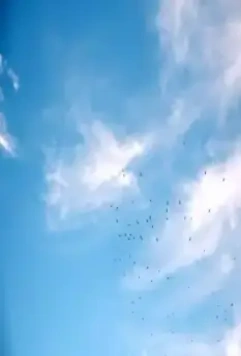 За едой 2022 скачать торрентом За едой 2022 скачать торрентом