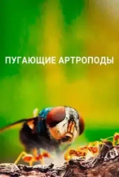 Пугающие артроподы / Creepy Crawlies 2021 скачать через торрент в хорошем качестве