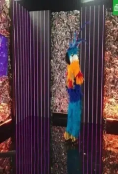 Маска 2020 скачать через торрент бесплатно Маска 2020 скачать через торрент бесплатно