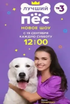 Лучший пёс 2020 скачать через торрент в хорошем качестве