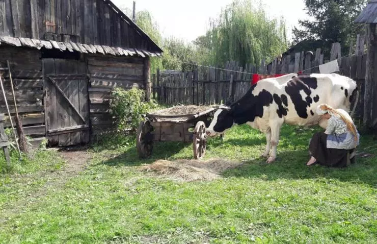 Ведьма 2019 скачать с торрента Ведьма 2019 скачать с торрента