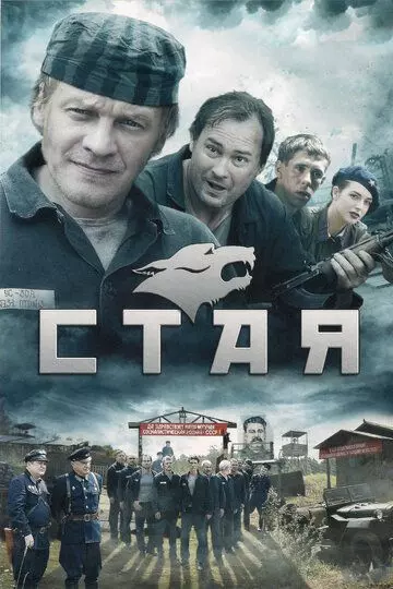 Стая 2009 скачать через торрент в хорошем качестве