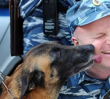 Всё к лучшему 2010 скачать торрентом Всё к лучшему 2010 скачать торрентом