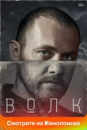 Волк / Волк 2020 скачать через торрент в хорошем качестве