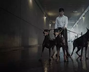 Плохие парни 2014 скачать с торрента Плохие парни 2014 скачать с торрента