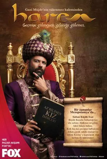 Гарем / Harem 2012 скачать через торрент в хорошем качестве