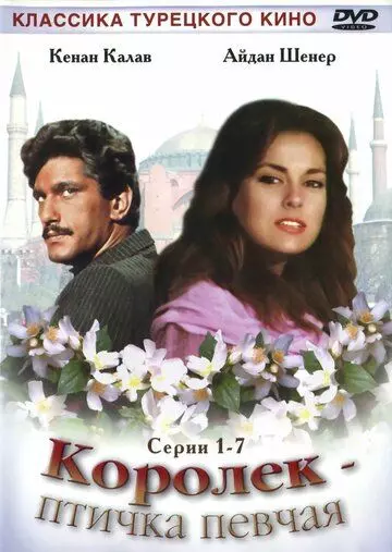 Королёк – птичка певчая / Çalıkuşu 1986 скачать через торрент в хорошем качестве