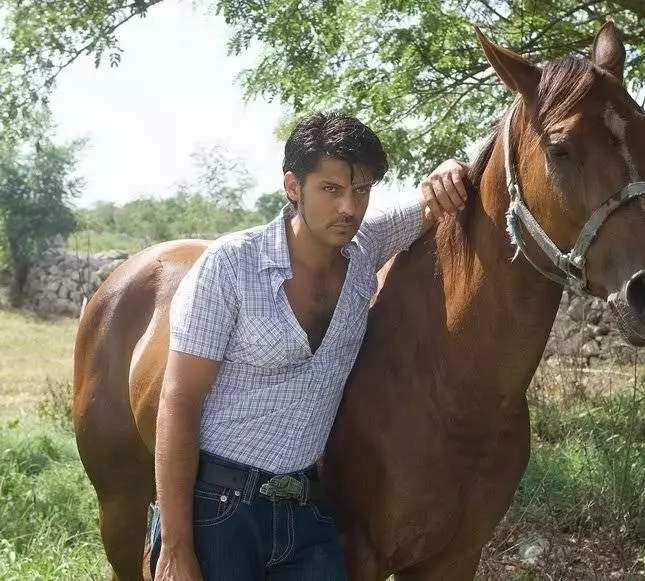 Ставка на любовь 2004 скачать через торрент бесплатно Ставка на любовь 2004 скачать через торрент бесплатно