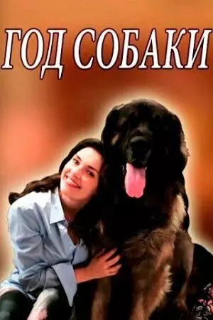 Год собаки 2018 скачать через торрент в хорошем качестве
