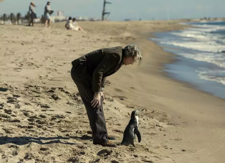 Школа мистера Пингвина 2024 скачать с торрента Школа мистера Пингвина 2024 скачать с торрента