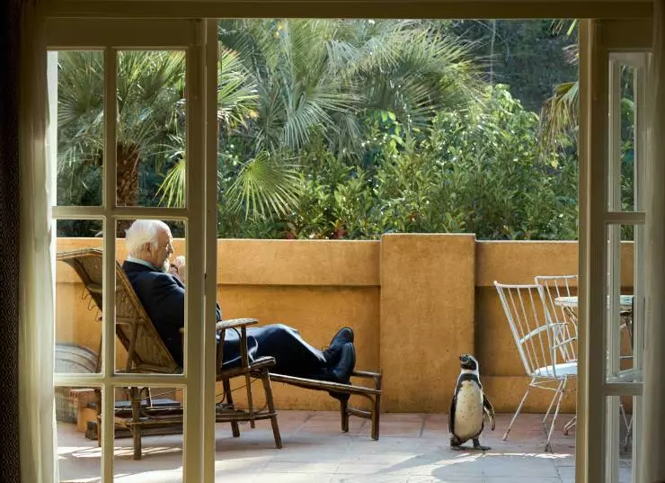 Школа мистера Пингвина 2024 скачать через торрент бесплатно Школа мистера Пингвина 2024 скачать через торрент бесплатно