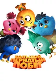 Большой пернатый побег / Out of the Nest 2024 скачать через торрент в хорошем качестве
