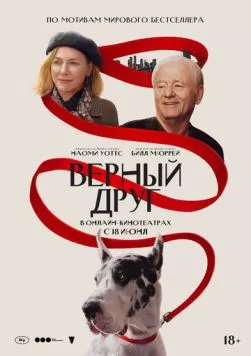 Верный друг / The Friend 2024 скачать через торрент в хорошем качестве