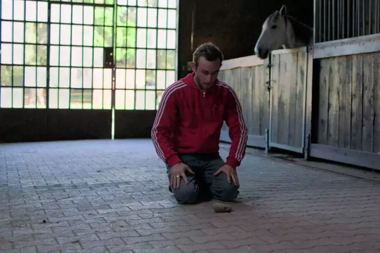 Враги 2019 скачать через торрент бесплатно Враги 2019 скачать через торрент бесплатно