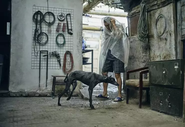 Чёрный пёс 2024 скачать через торрент бесплатно Чёрный пёс 2024 скачать через торрент бесплатно