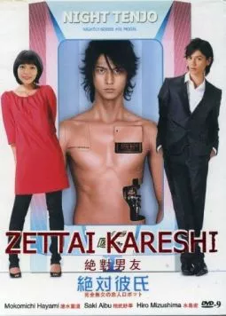 Идеальный парень / Zettai kareshi 2008 скачать через торрент в хорошем качестве