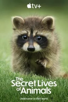 Тайная жизнь животных / The Secret Lives of Animals 2024 скачать через торрент в хорошем качестве