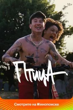 Птица / Bird 2024 скачать через торрент в хорошем качестве