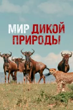 Мир дикой природы / Wild Ones 2014 скачать через торрент в хорошем качестве