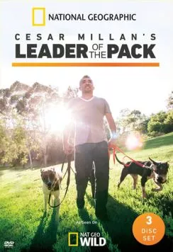 Сесар Миллан: Вожак стаи / Cesar Millan's Leader of the Pack 2012 скачать через торрент в хорошем качестве