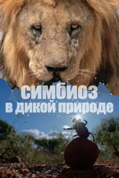 Симбиоз в дикой природе / Connection 2023 скачать через торрент в хорошем качестве