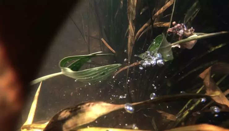 Кто ты, волонтер? 2022 скачать торрентом Кто ты, волонтер? 2022 скачать торрентом