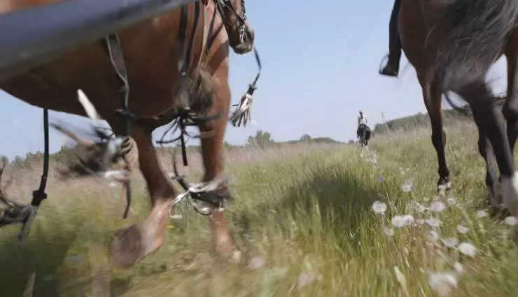 Кто ты, волонтер? 2022 скачать через торрент бесплатно Кто ты, волонтер? 2022 скачать через торрент бесплатно