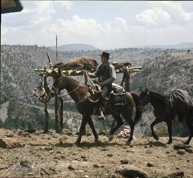 Представитель закона 1971 скачать торрентом Представитель закона 1971 скачать торрентом