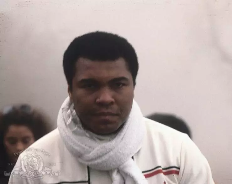 Тело и душа 1981 скачать через торрент бесплатно Тело и душа 1981 скачать через торрент бесплатно