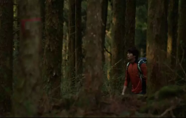 Хороший день для прогулки 2015 скачать торрентом Хороший день для прогулки 2015 скачать торрентом