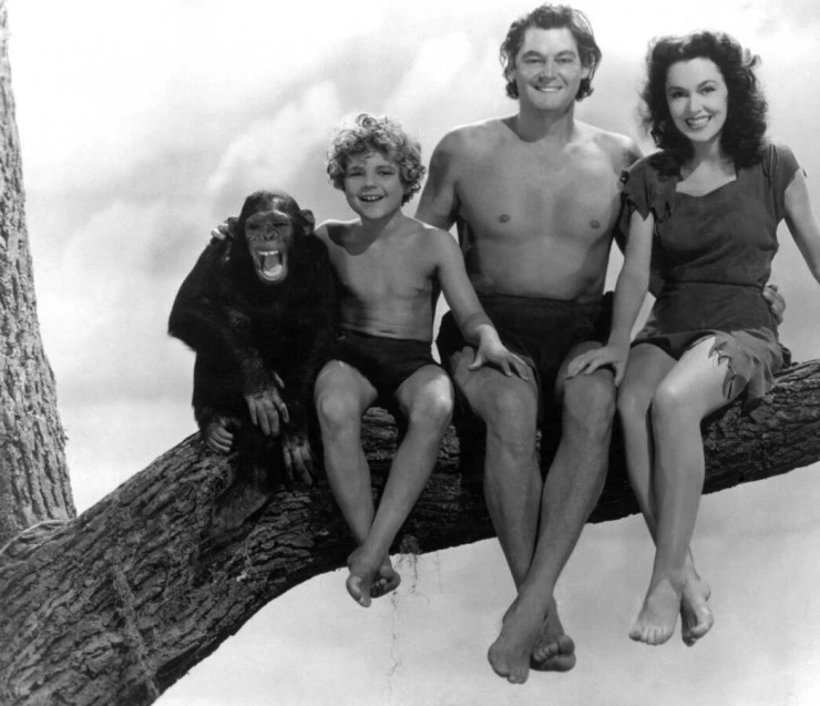 Тайное сокровище Тарзана 1941 скачать через торрент бесплатно Тайное сокровище Тарзана 1941 скачать через торрент бесплатно