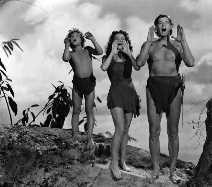 Тайное сокровище Тарзана 1941 скачать с торрента Тайное сокровище Тарзана 1941 скачать с торрента