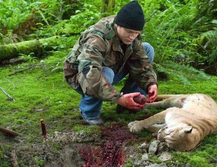 Пожиратель душ 2005 скачать с торрента Пожиратель душ 2005 скачать с торрента