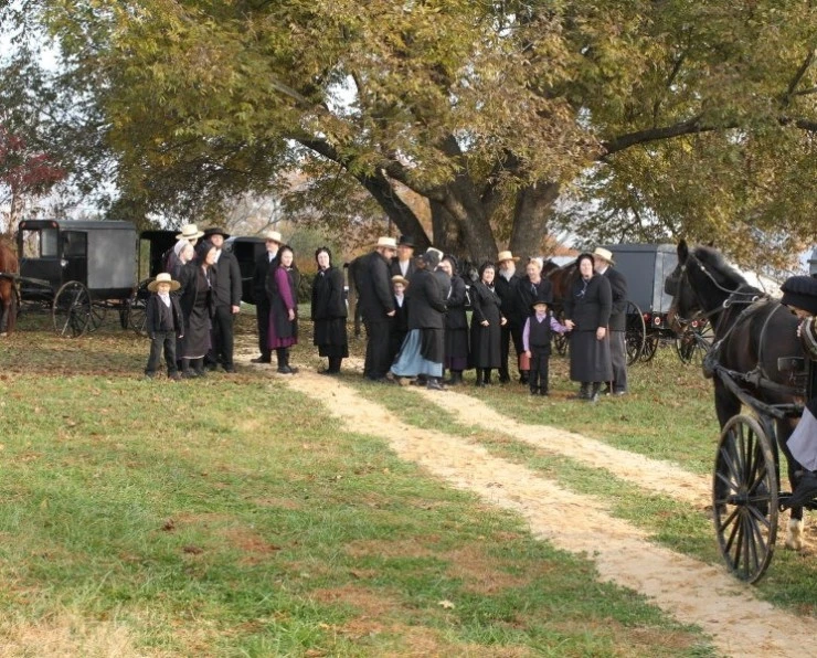 Отлучение 2011 скачать торрентом Отлучение 2011 скачать торрентом