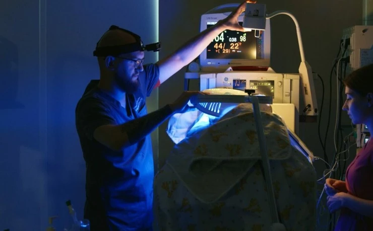 Путь новорожденного 2024 скачать с торрента Путь новорожденного 2024 скачать с торрента