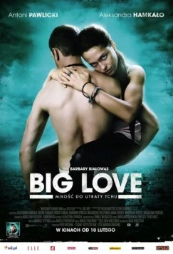 Большая любовь / Big Love 2012 скачать через торрент в хорошем качестве