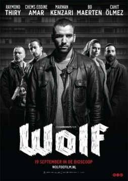 Волк / Wolf 2013 скачать через торрент в хорошем качестве